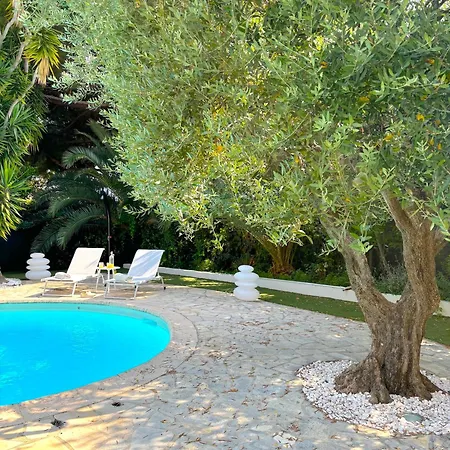 Tassinia Cannes