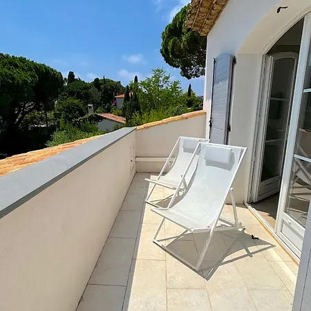 Tassinia * Cannes